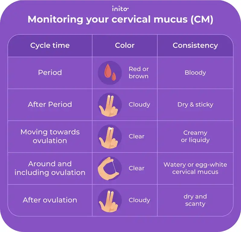 Monitoring your cervical mucus