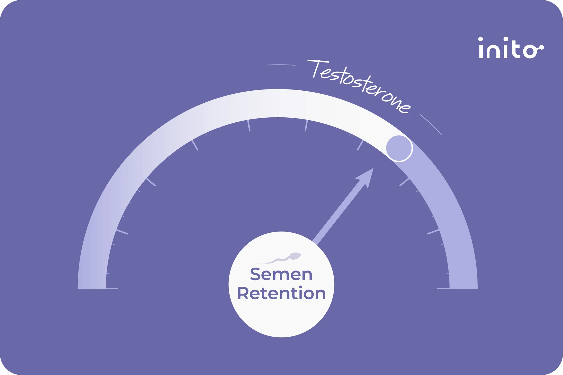 Does Semen Retention Increase Testosterone?