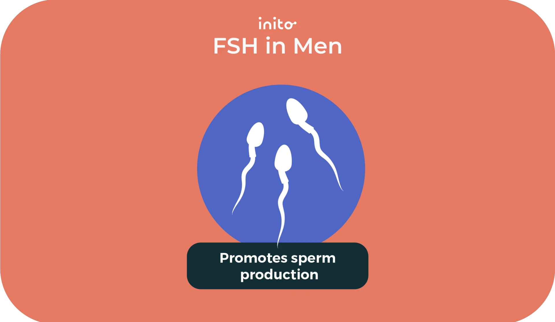 Follicle Stimulating Hormone FSH Levels Test And Abnormalities