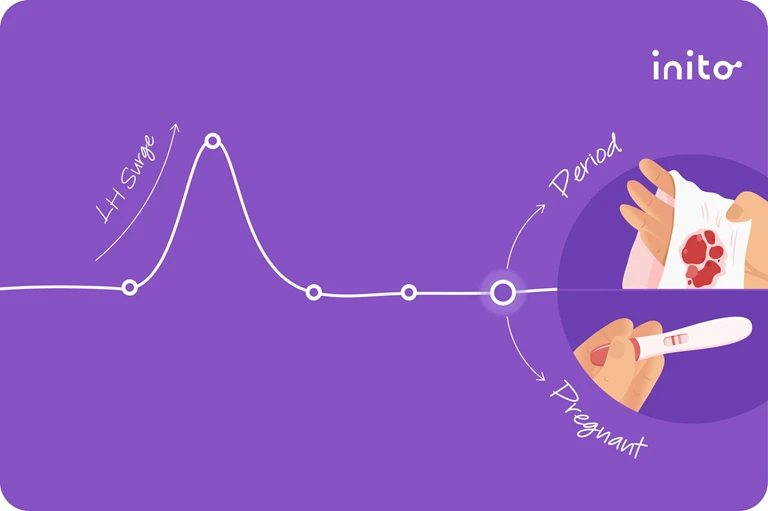 LH Surge Before Period