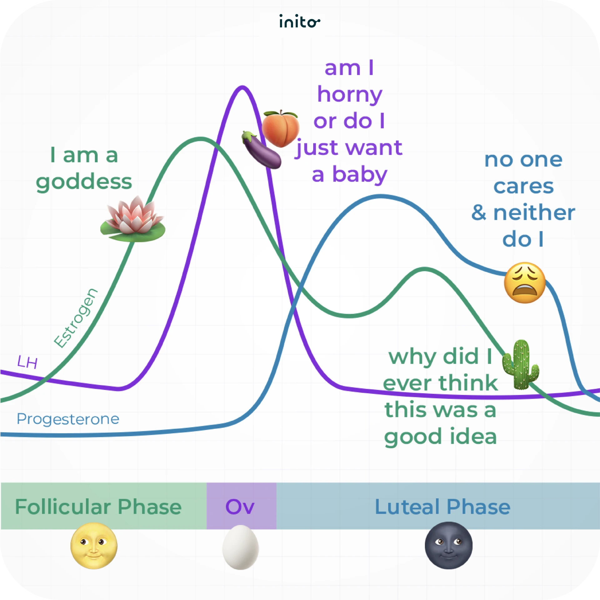 Luteal Phase foods