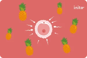 Pineapple and Fertility: Exploring the Connection