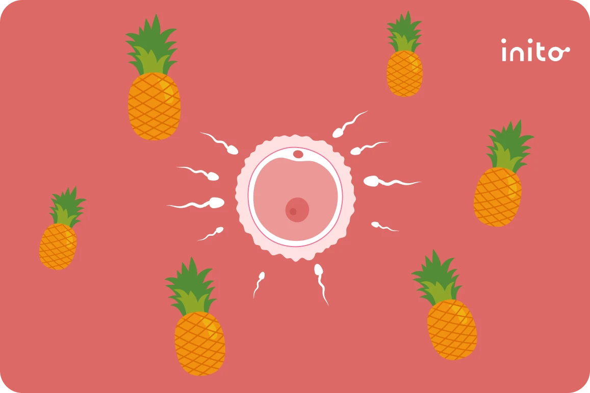 Pineapple and Fertility: Exploring the Connection