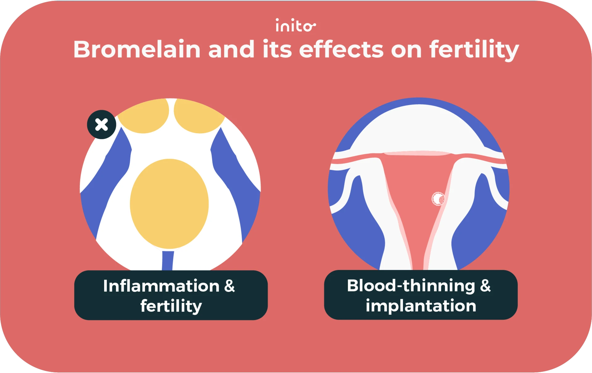 bromelain and its effects on fertility