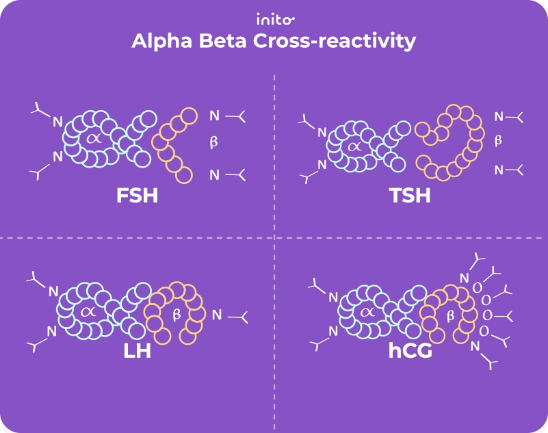 Alpha LH Vs Beta LH How They Affect Fertility Testing Alpha LH Vs Beta LH How They Affect Fertility Testing