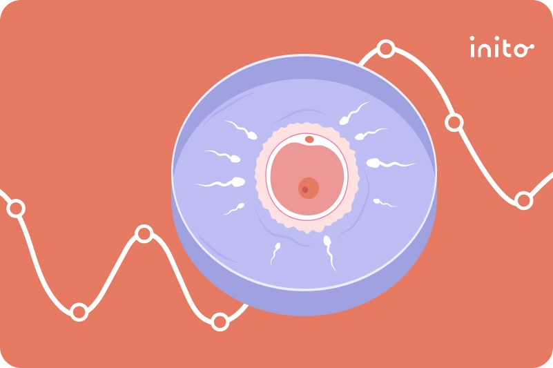 FSH levels and IVF