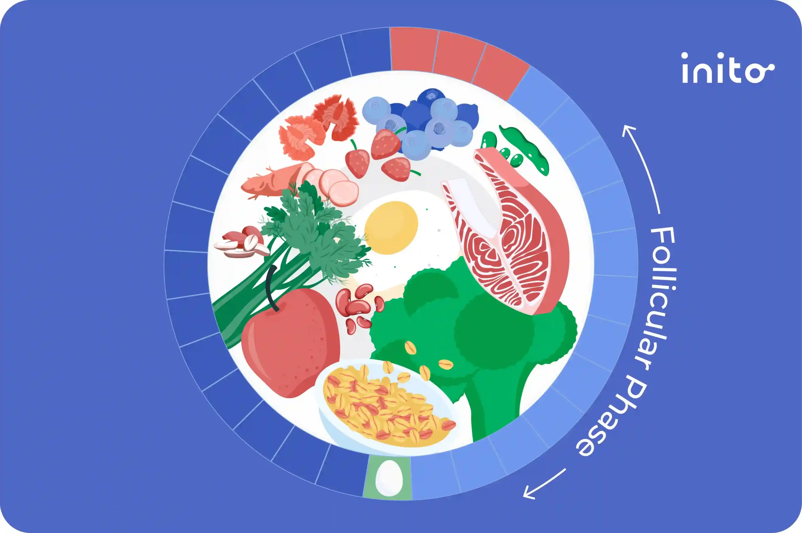 Follicular Phase Foods