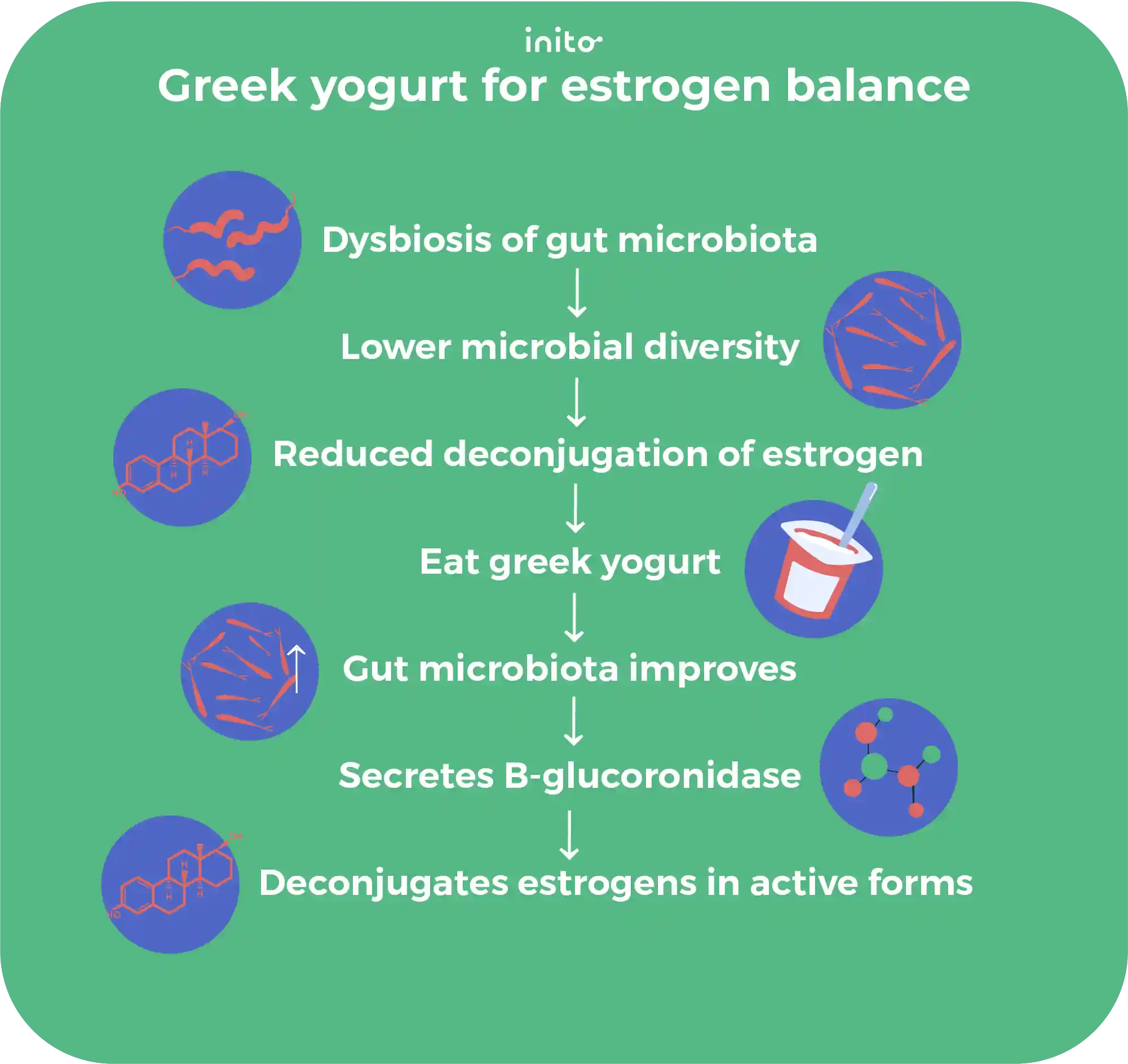 Greek yogurt for estrogen balance