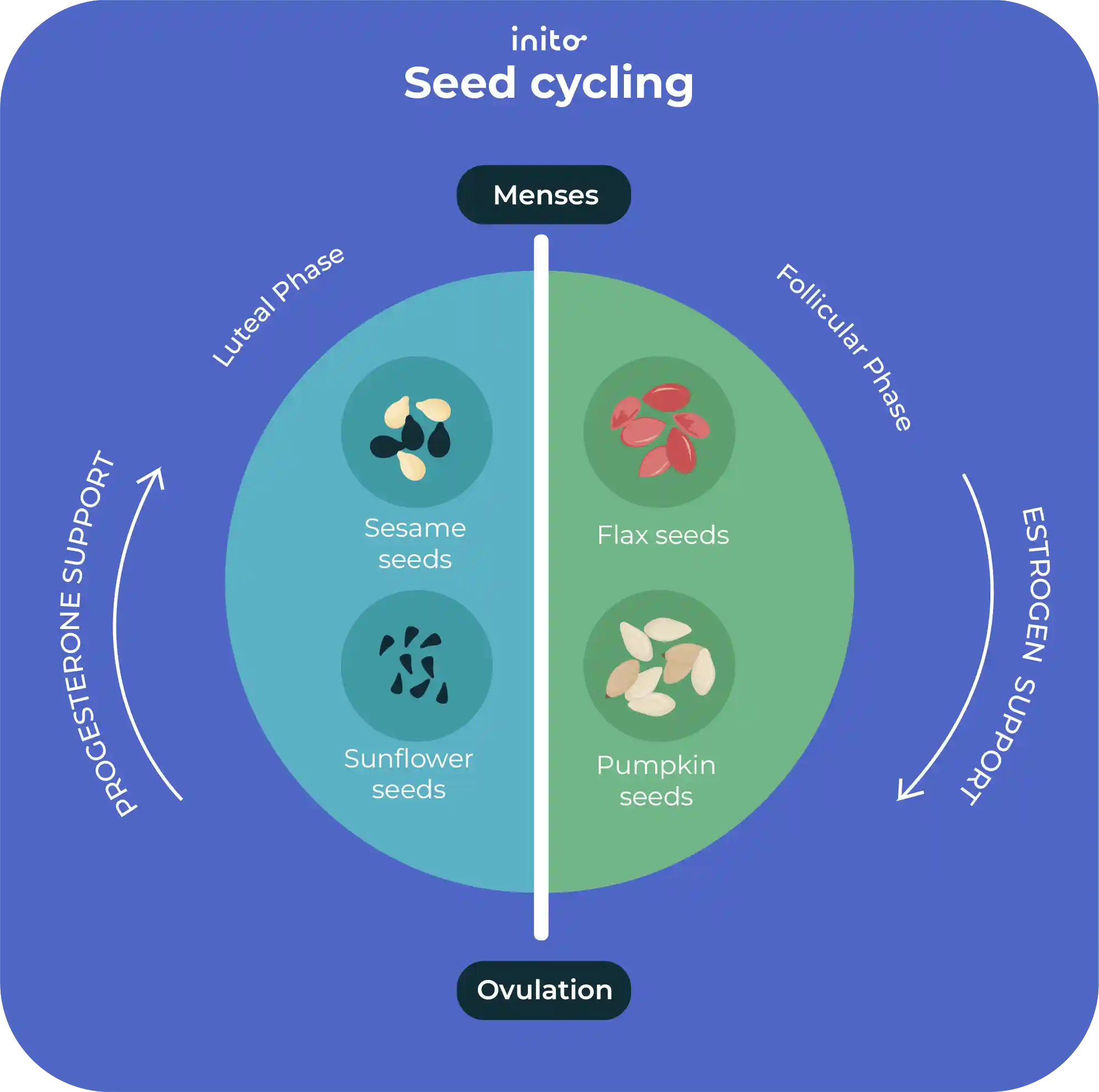 seed cycling