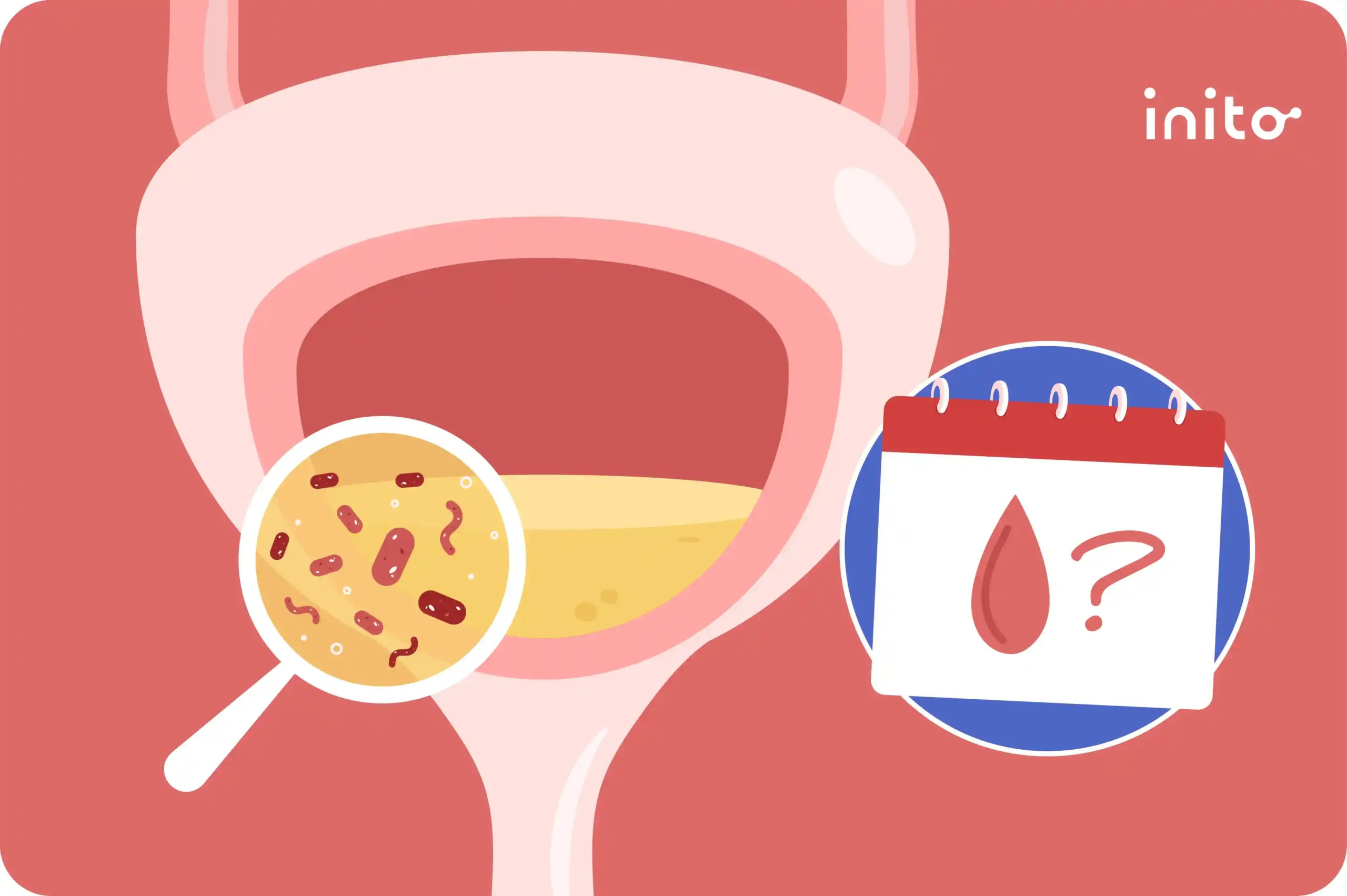 Can A UTI Delay Your Period