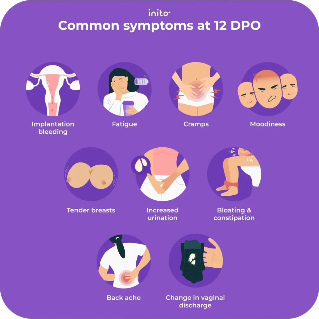 Pregnancy Symptoms at 12 DPO: What To Expect 3 Common 12 DPO symptoms