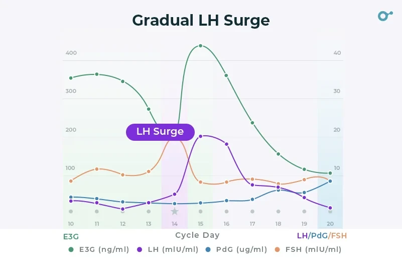 Gradual LH surge