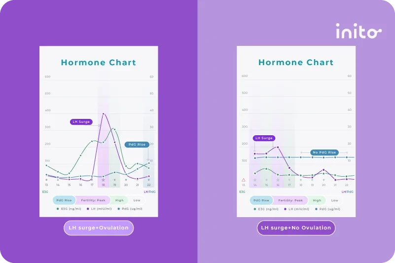 Inito hormone charts LH surge Ovulation vs. No ovulation