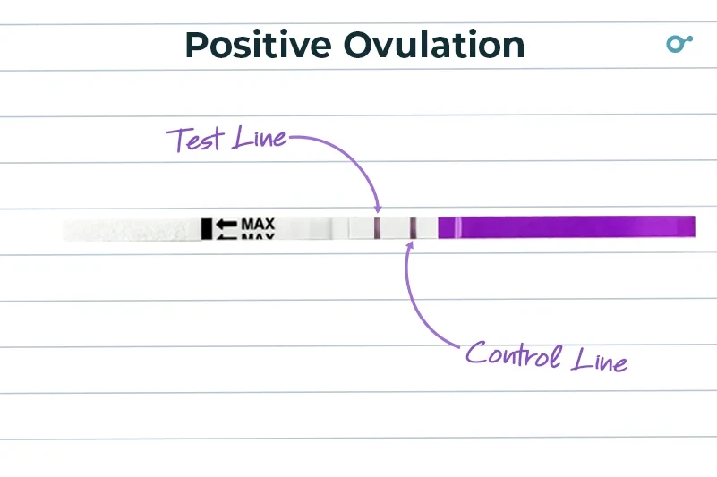 Positive ovulation test