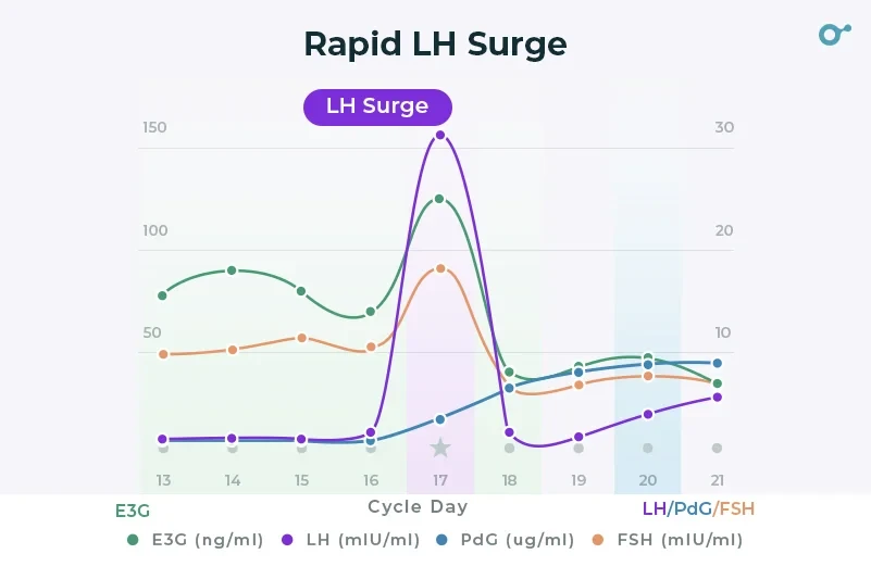 Rapid LH surge
