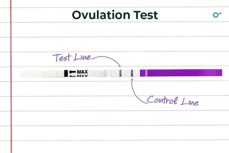 Reading ovulation tests