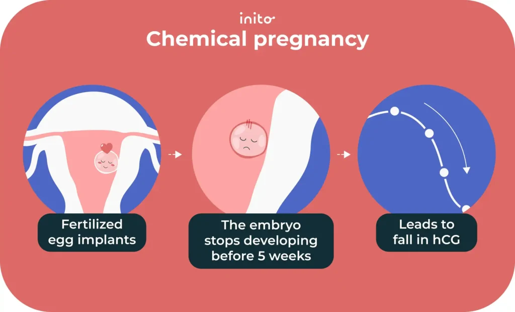 Positive Pregnancy Test Then Negative Next Day? 7 chemical pregnancy