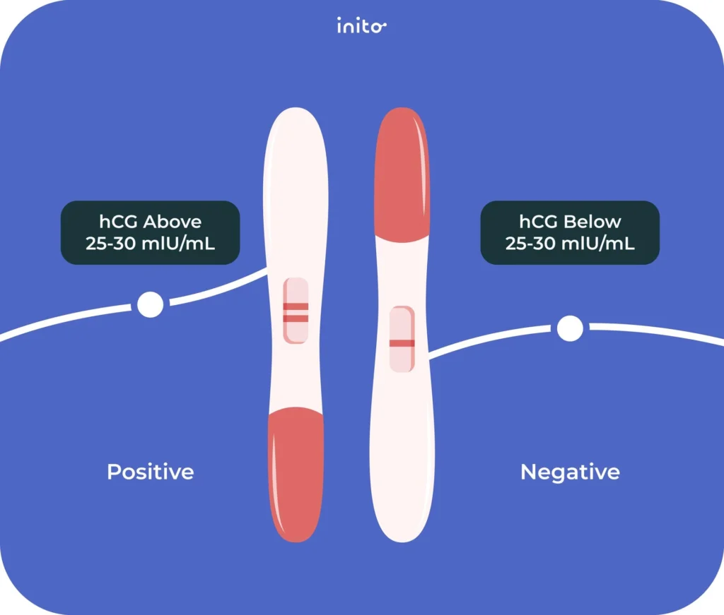 Positive and Negative pregnancy test