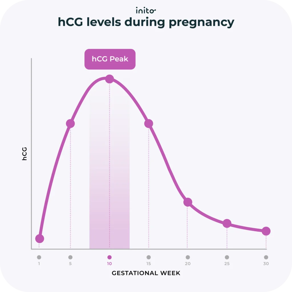 hCG levels during pregnancy