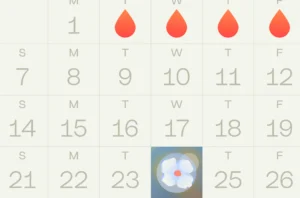 How Accurate Are Implantation Calculators
