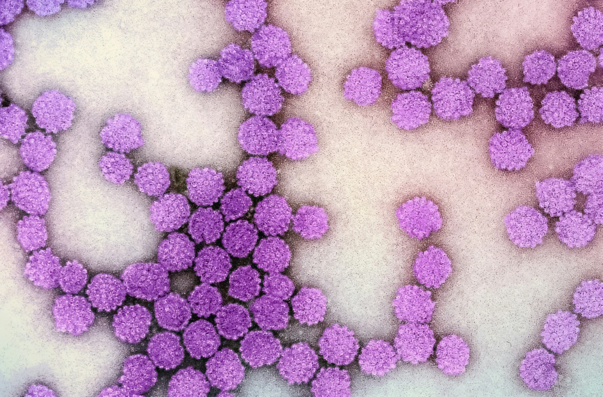 HPV and Pregnancy: Here’s What You Need to Know 2 hpv and pregnancy