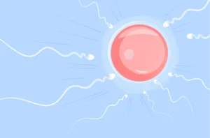 Fertility Tips for Men and Women