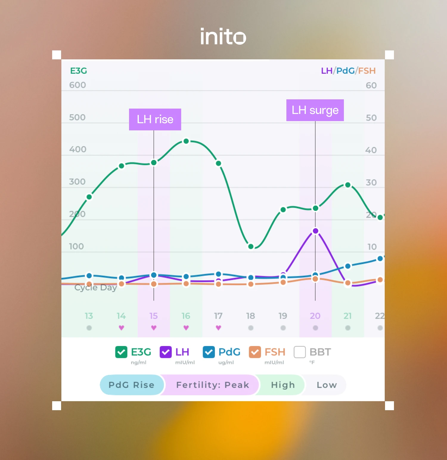 Difference Between an LH Rise and LH Surge