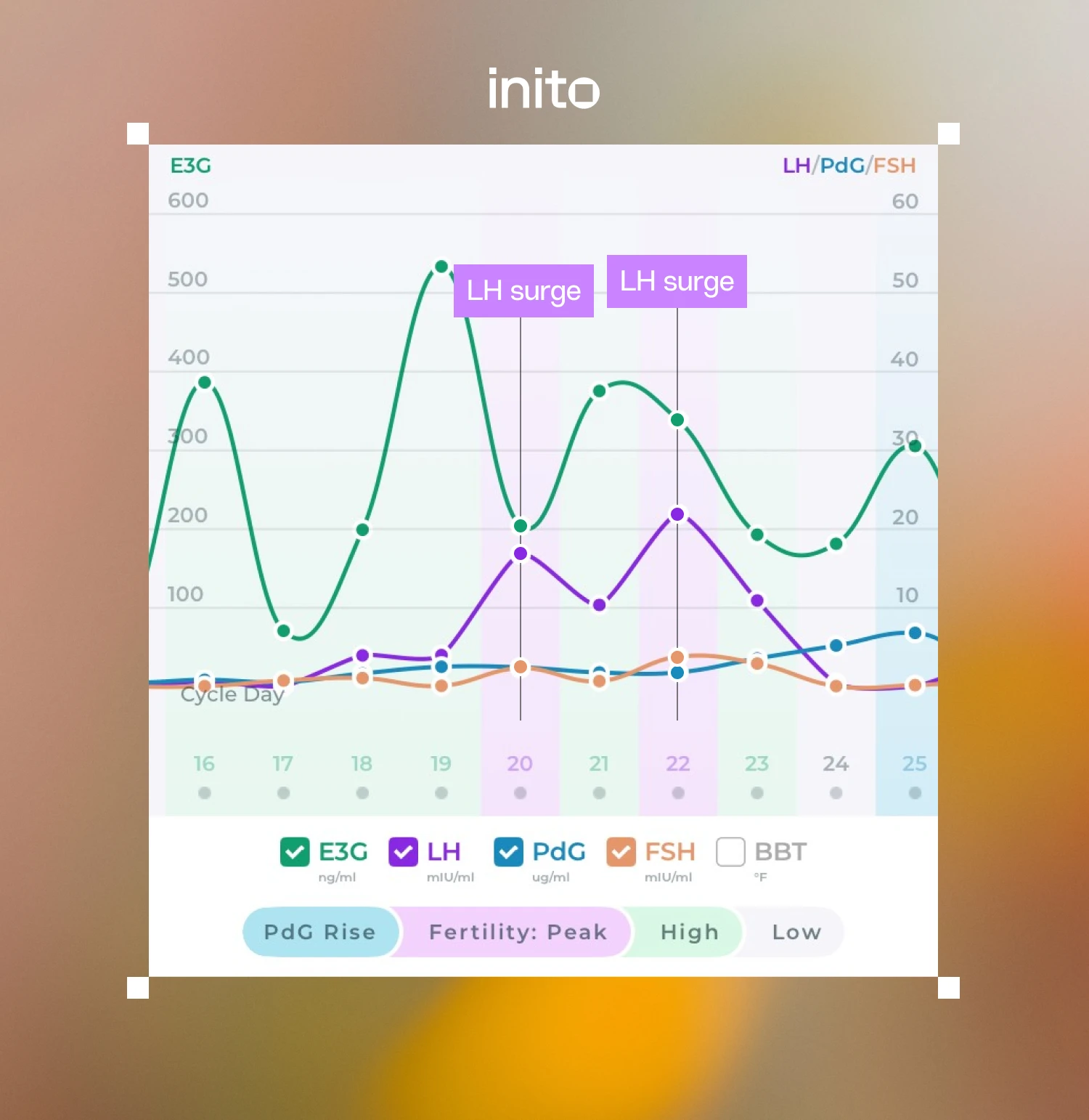 LH rise or an LH surge