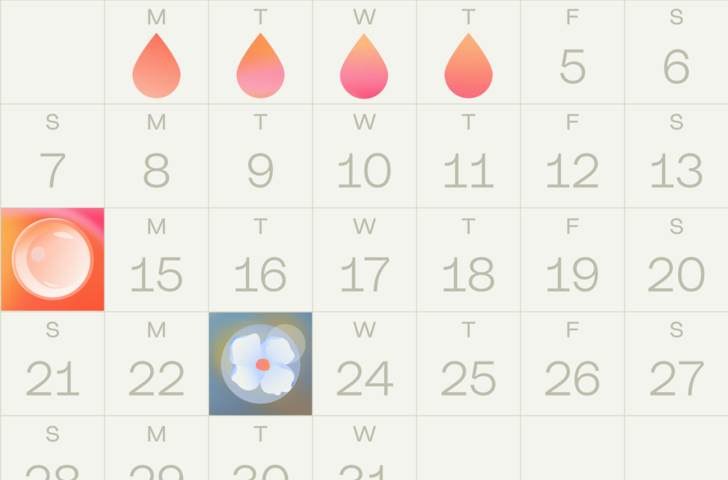 INITO 2026 Blog MAR Implantation Calculator