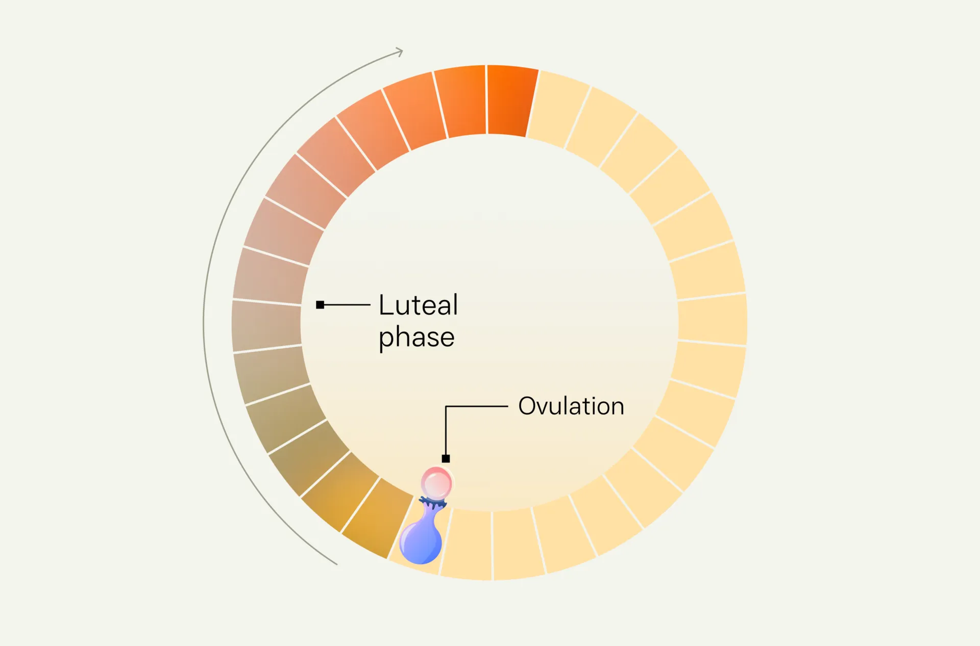 Luteal Phase Calculator