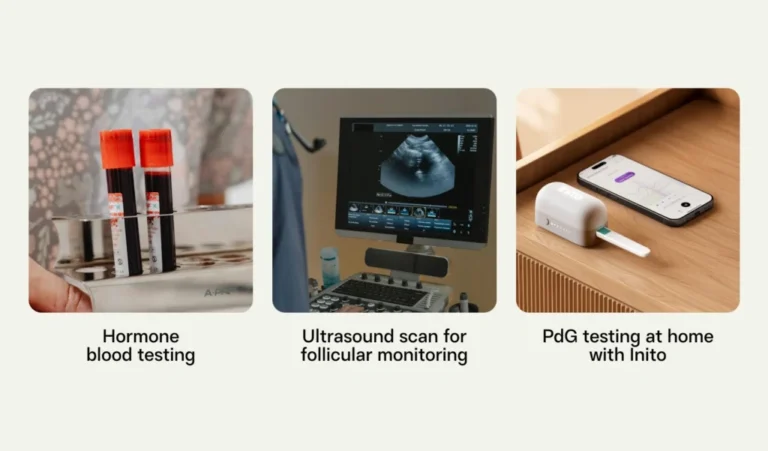 Ovulation confirmation methods including hormone blood tests, ultrasound scans, and at-home PdG testing with Inito