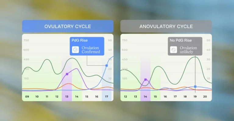 Ovulatory vs anovulatory cycle comparison