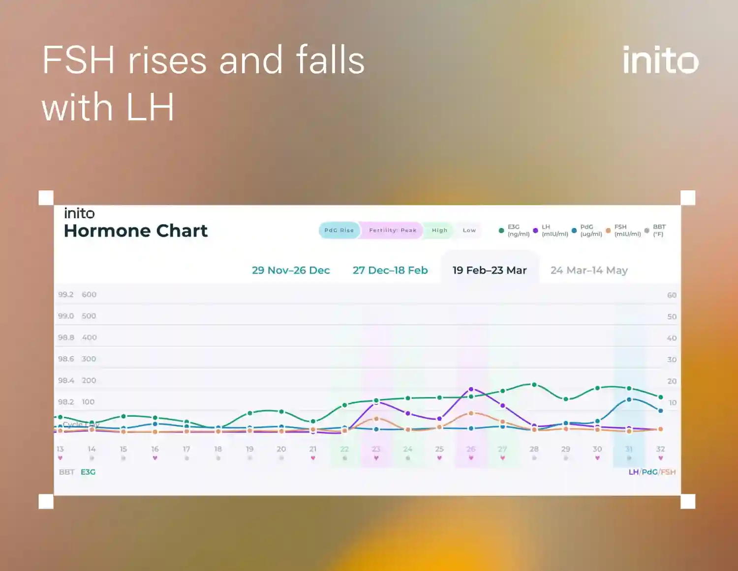 FSH rises and falls with LH