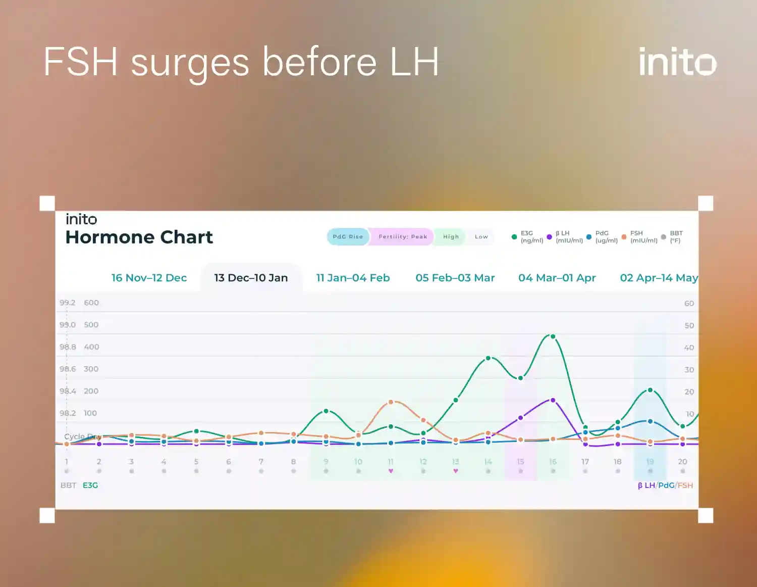 FSH surges before LH