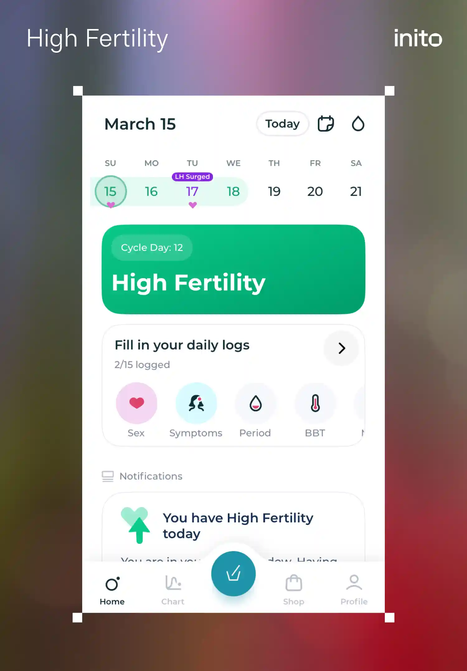 High Fertility
