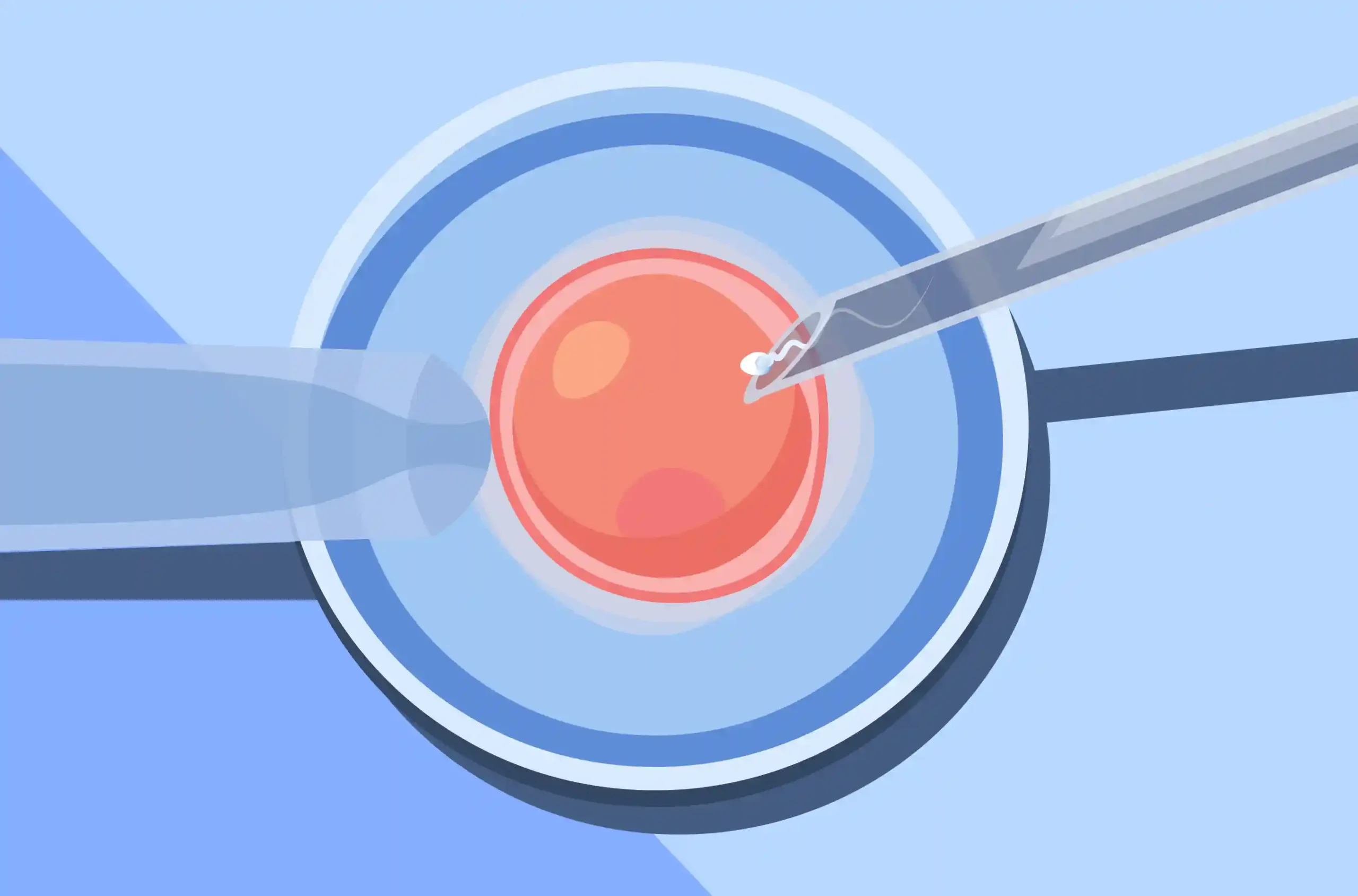 Needle-Free IVF