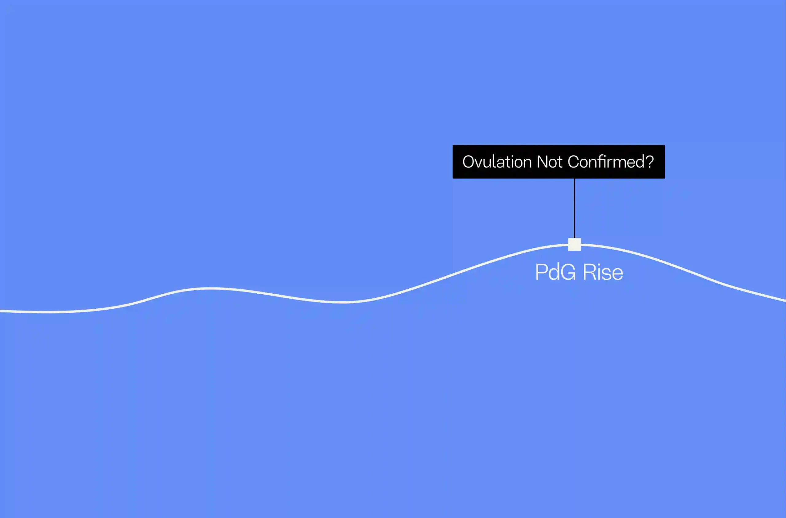 PdG Rise but Ovulation Not Confirmed