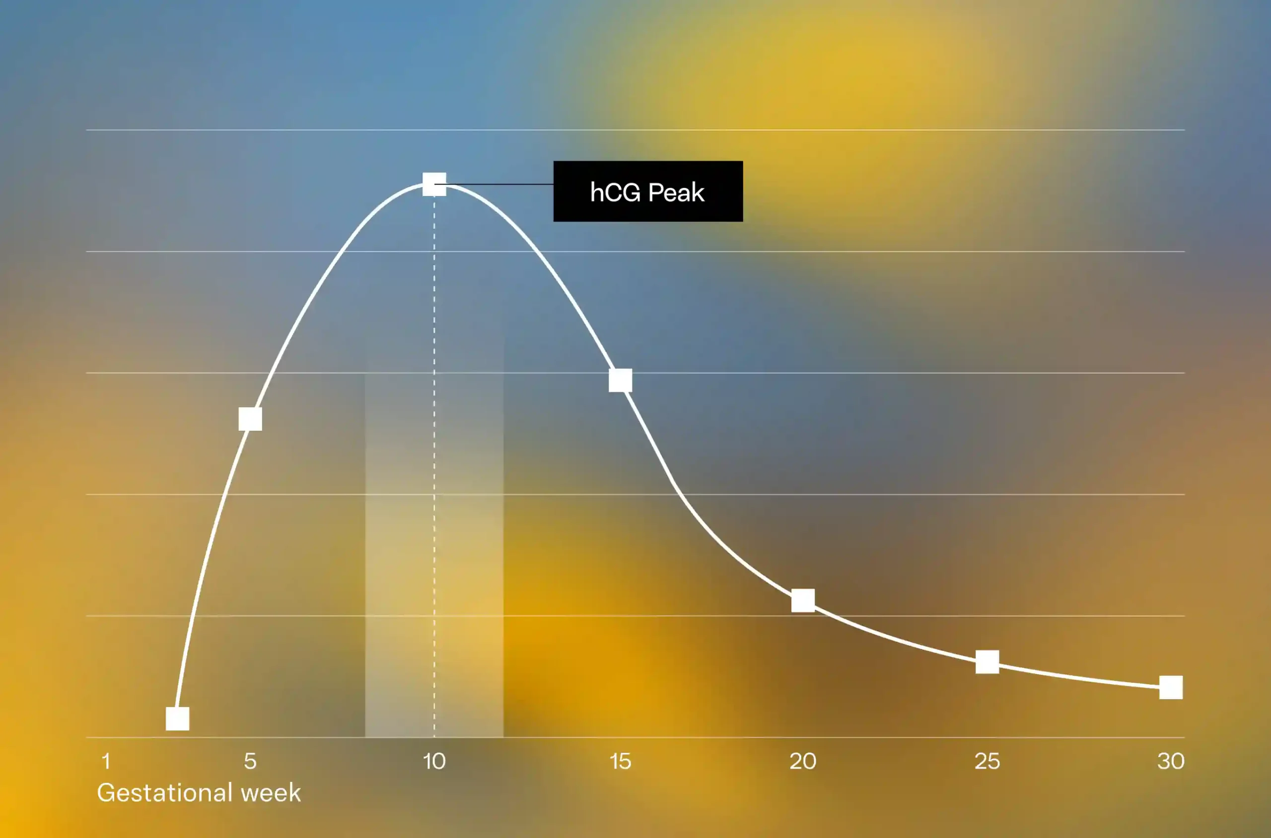 hCG levels in pregnancy